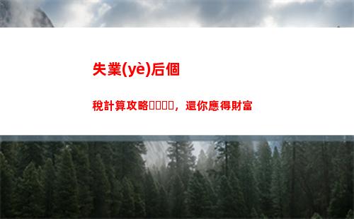 了解中國個稅政策，輕松掌握個人所得稅計算 (32個字符)